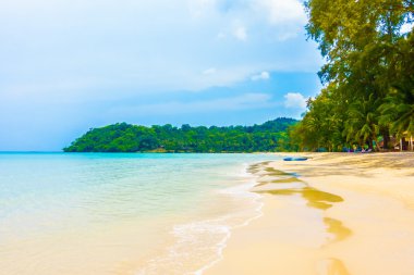 Güzel tropikal okyanus plaj
