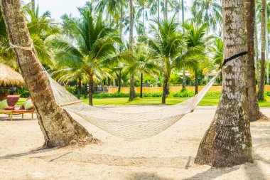 Boş hamak güzel tropik sahilde
