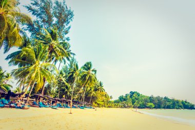 Güzel tropikal plaj ve deniz