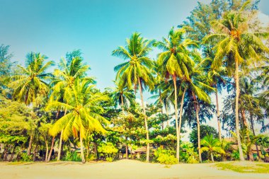 Güzel tropikal plaj ve deniz