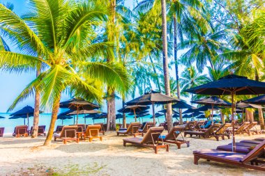 Güzel tropikal plaj ve deniz