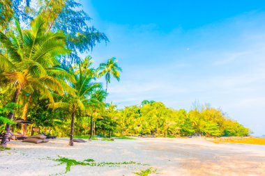 Güzel tropikal plaj ve deniz