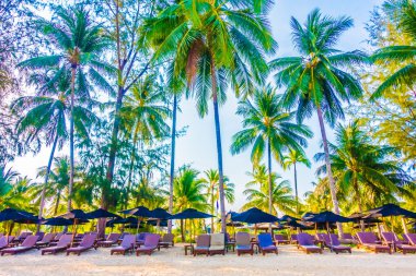 Güzel tropikal plaj ve deniz