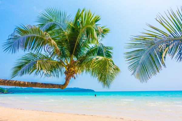 Hermoso océano tropical y playa de arena — Foto de Stock