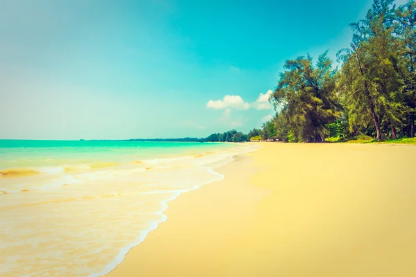 Hermosa playa tropical y el mar — Foto de Stock