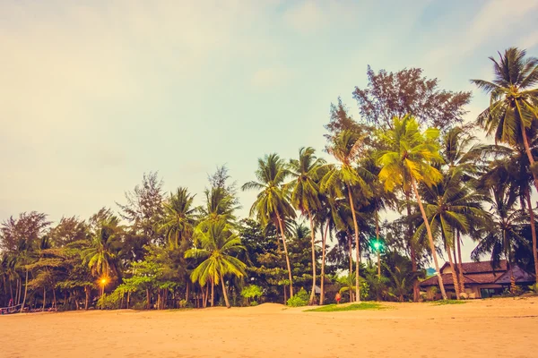 Güzel tropikal plaj ve deniz