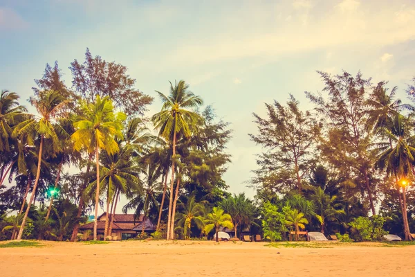 Güzel tropikal plaj ve deniz