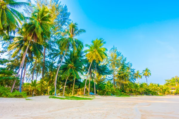 Güzel tropikal plaj ve deniz