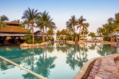 lüks Yüzme Havuzu Peyzaj