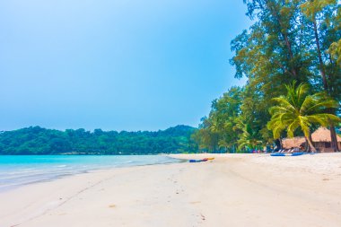 Güzel tropikal deniz ve kum plaj