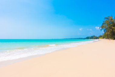 Güzel tropikal plaj ve deniz