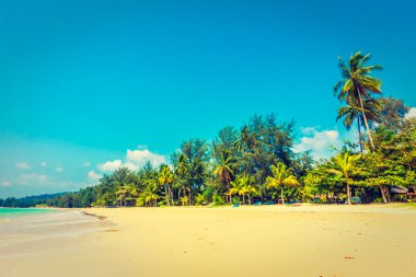 Güzel tropikal plaj ve deniz