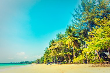 Güzel tropikal plaj ve deniz