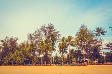 Güzel tropikal plaj ve deniz