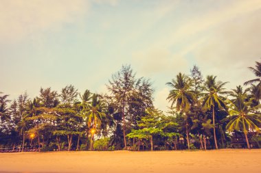 Güzel tropikal plaj ve deniz