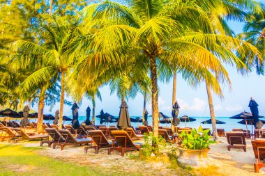 Güzel tropikal plaj ve deniz