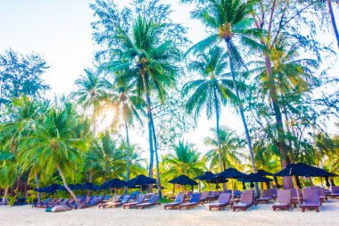 Güzel tropikal plaj ve deniz