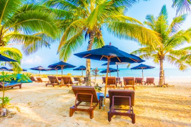 Güzel tropikal plaj ve deniz