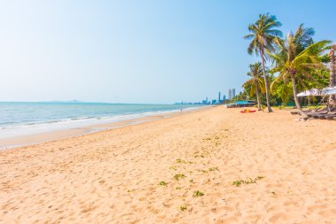 Sahilde palmiye ağacı