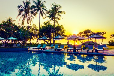 Hindistan cevizi hurma ağaçlarının Silhouettes