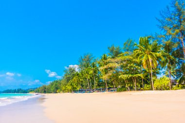 Güzel tropikal plaj ve deniz