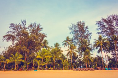 Güzel tropikal plaj ve deniz