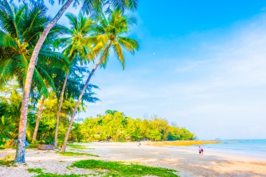 Güzel tropikal plaj ve deniz