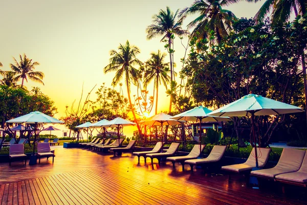 Hindistan cevizi hurma ağaçlarının Silhouettes