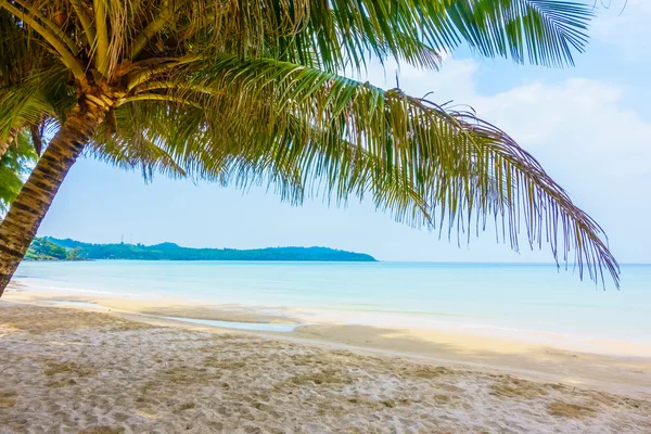 Beautiful tropical ocean — Stock Photo, Image