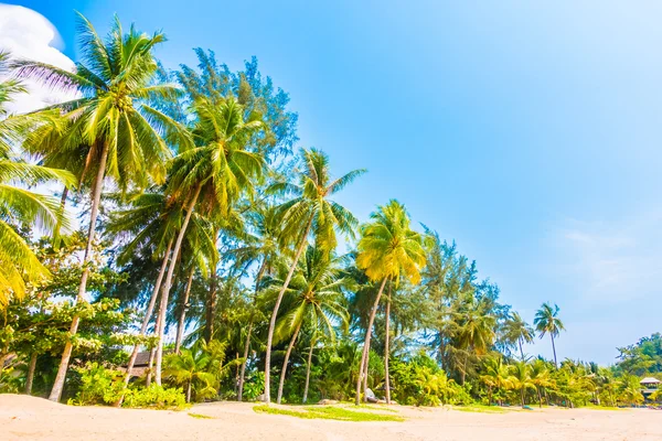 Bella spiaggia tropicale e mare — Foto Stock