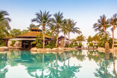 lüks Yüzme Havuzu Peyzaj