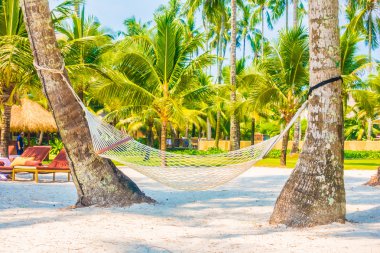 Boş hamak güzel tropik sahilde