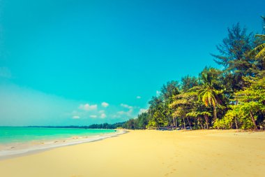 Güzel tropikal plaj ve deniz