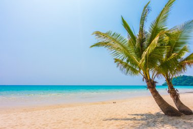 Güzel tropikal deniz ve kum plaj