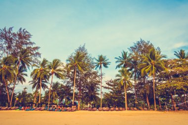 Güzel tropikal plaj ve deniz