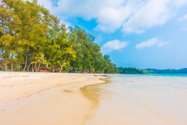 Güzel tropikal deniz ve kum plaj