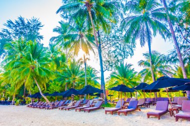 Güzel tropikal plaj ve deniz