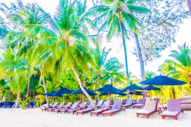 Güzel tropikal plaj ve deniz