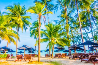 Güzel tropikal plaj ve deniz