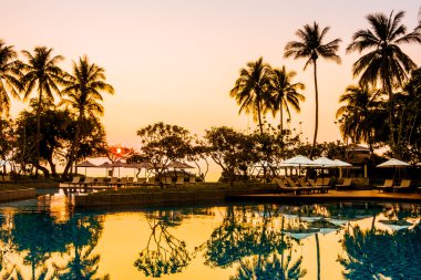 Hindistan cevizi hurma ağaçlarının Silhouettes