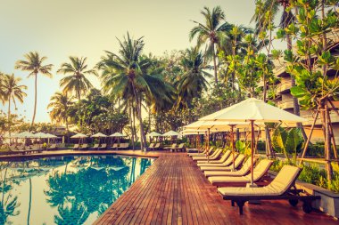 Hindistan cevizi hurma ağaçlarının Silhouettes