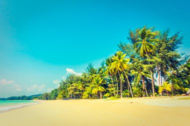 Güzel tropikal plaj ve deniz