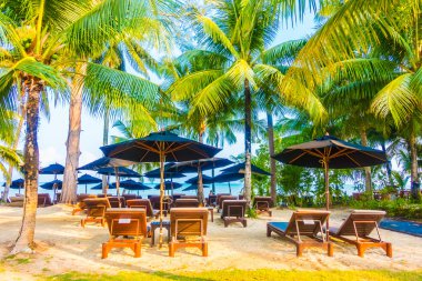 Güzel tropikal plaj ve deniz