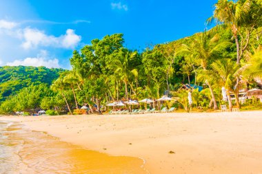 güzel tropikal plaj ve deniz manzara