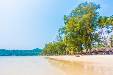 Güzel tropikal deniz ve kum plaj