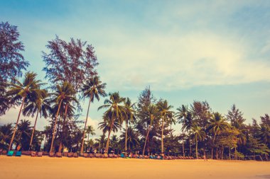 Güzel tropikal plaj ve deniz