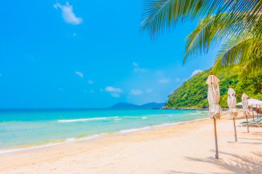 güzel tropikal plaj ve deniz manzara