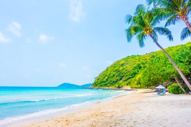 güzel tropikal plaj ve deniz manzara