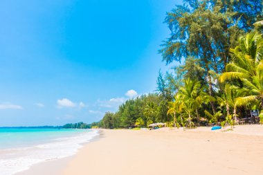 Güzel tropikal plaj ve deniz