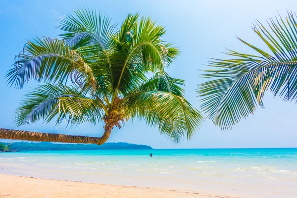 Hermoso océano tropical y playa de arena —  Fotos de Stock